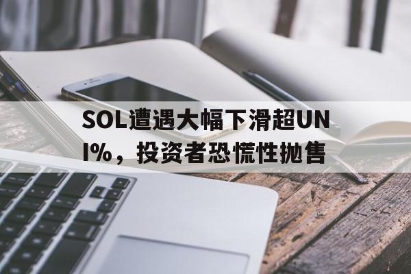 九游账号-包含SOL遭遇大幅下滑超UNI%，投资者恐慌性抛售的词条