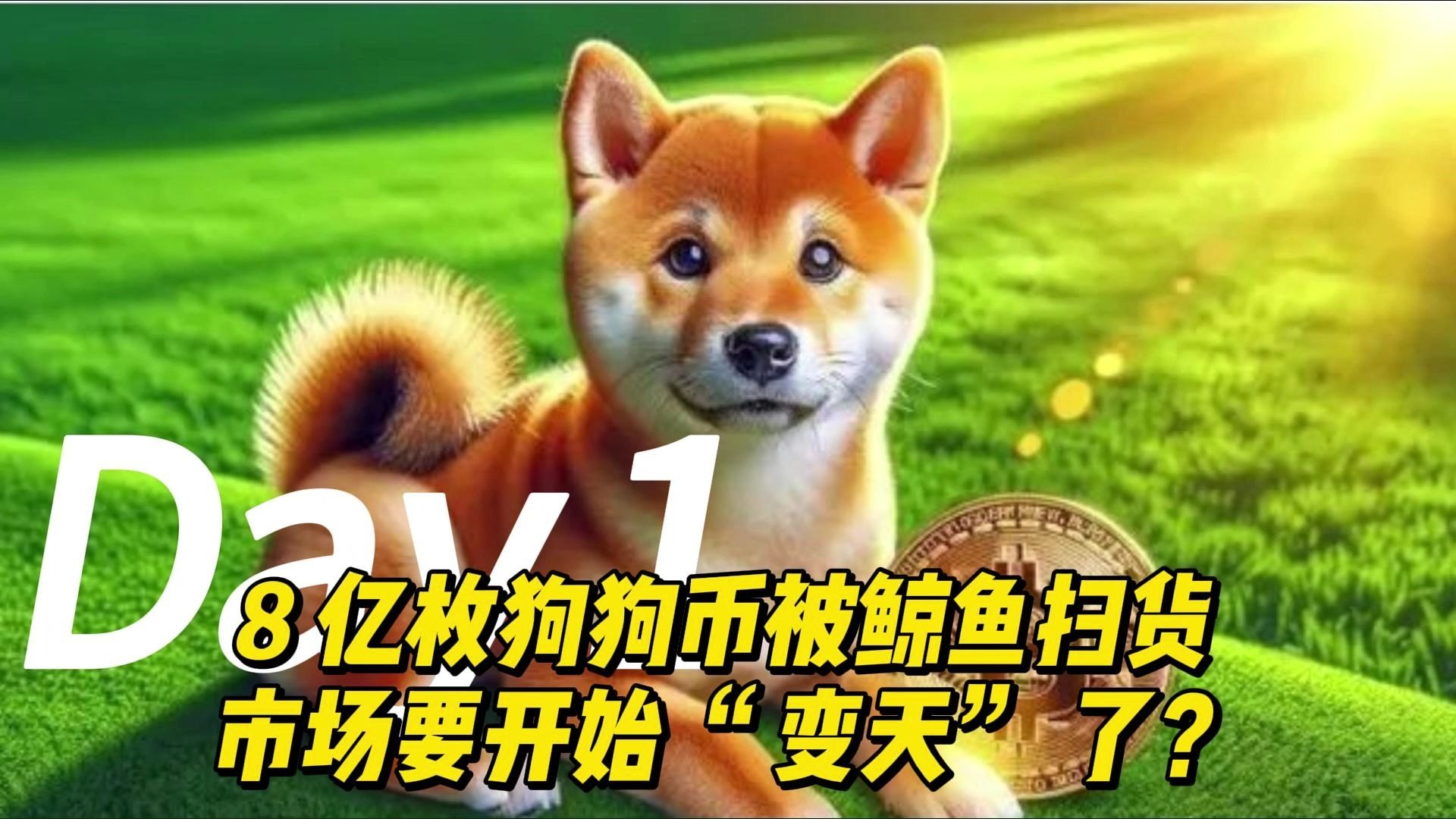 狗狗币创下年内新高，上扬幅高达8.69%，还能追吗？的简单介绍