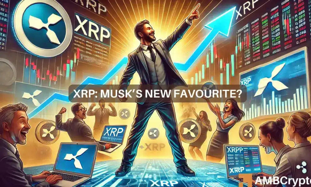 登录中心官网-马斯克再次发推，XRP瞬间上上扬美联储%！