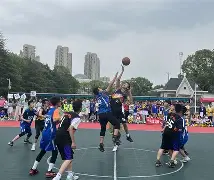 柔道联赛掀起高潮，漓江雷豹队强势横扫嵩山雄狮队，老将里程碑之夜——回归即成焦点的简单介绍